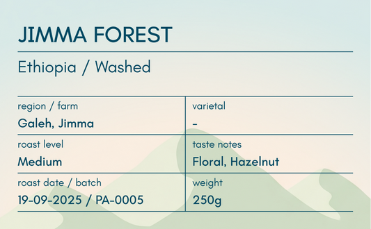 Jimma Forest